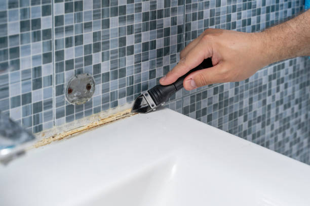 Best Mold Removal Near Me  in Fort Plain, NY