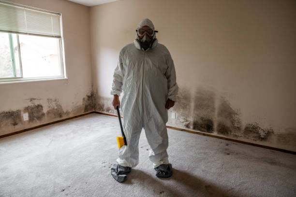 Best Commercial Mold Removal  in Fort Plain, NY